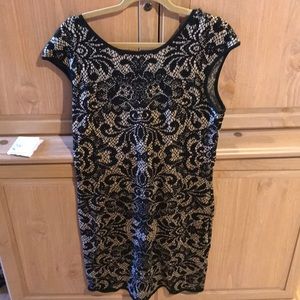 Torrid sweater dress